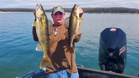 walleye fish|Area On Bull Shoals For Walleye.